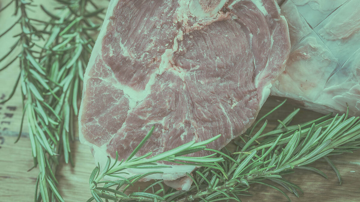 Plant Proteins Research